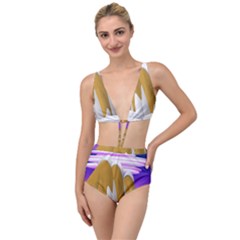 Europa Positive Thinking Mountain Tied Up Two Piece Swimsuit by Pakrebo