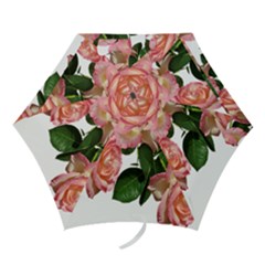 Roses Flowers Arrangement Garden Mini Folding Umbrellas by Simbadda