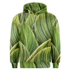 Leaves Striped Pattern Texture Men s Overhead Hoodie by Simbadda