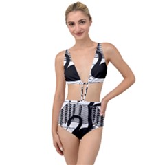 Vintage Swan Bird Nature Water Tied Up Two Piece Swimsuit