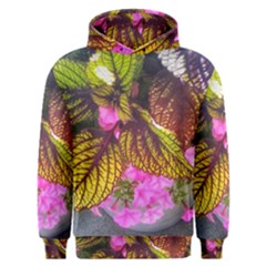 Coleus & Petunia Men s Overhead Hoodie by Riverwoman