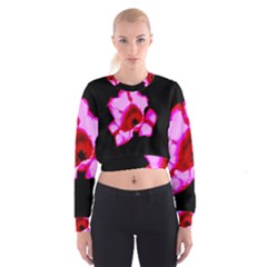 Pink And Red Tulip Cropped Sweatshirt by okhismakingart