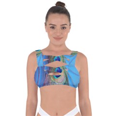 Nature Bird Wing Texture Animal Male Wildlife Decoration Pattern Line Green Color Blue Colorful Bandaged Up Bikini Top by Vaneshart