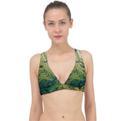 Laptop Computer Technology Leaf Line Green Biology Communication Electronics Illustration Informatio Classic Banded Bikini Top