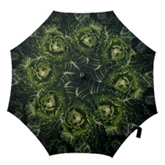 Plant Leaf Flower Green Produce Vegetable Botany Flora Cabbage Macro Photography Flowering Plant Hook Handle Umbrellas (large) by Vaneshart