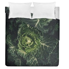 Plant Leaf Flower Green Produce Vegetable Botany Flora Cabbage Macro Photography Flowering Plant Duvet Cover Double Side (queen Size) by Vaneshart