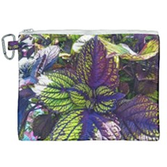 Dark Coleus Canvas Cosmetic Bag (xxl) by Riverwoman