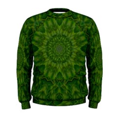 Fauna Nature Ornate Leaf Men s Sweatshirt by pepitasart