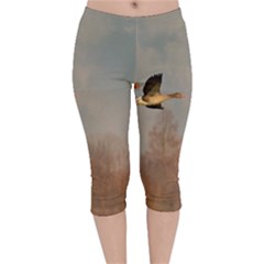 Goose 4002044 960 720 Velvet Capri Leggings  by vintage2030