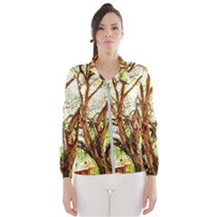 Hot Day In Dallas 14 Women s Windbreaker by bestdesignintheworld