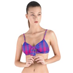 Bisexual Plaid Tie Up Cut Bikini Top by NanaLeonti