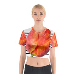 Tulip Watercolor Red And Black Stripes Cotton Crop Top by picsaspassion