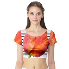 Tulip Watercolor Red And Black Stripes Short Sleeve Crop Top by picsaspassion