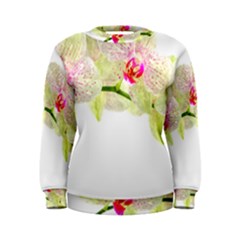 Phalenopsis Orchid White Lilac Watercolor Aquarel Women s Sweatshirt by picsaspassion