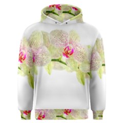 Phalenopsis Orchid White Lilac Watercolor Aquarel Men s Overhead Hoodie by picsaspassion