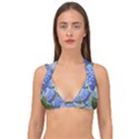 Hydrangea  Double Strap Halter Bikini Top View1