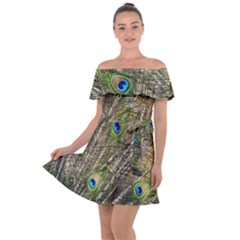 Peacock Feathers Color Plumage Green Off Shoulder Velour Dress by Sapixe