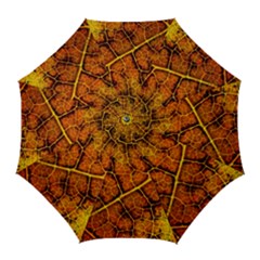 Autumn Leaves Forest Fall Color Golf Umbrellas by Wegoenart