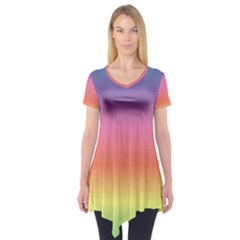 Rainbow Shades Short Sleeve Tunic  by designsbymallika