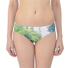 Photo Vue Sur Forêt  Hipster Bikini Bottoms