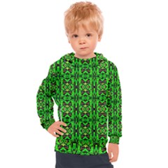 Ab 159 Kids  Hooded Pullover