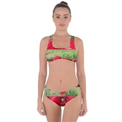 Photos Collage Coquelicots Criss Cross Bikini Set by kcreatif