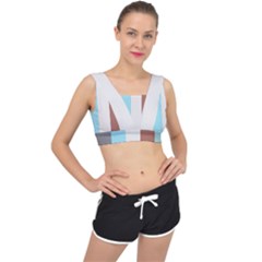 Stripey 17 V-back Sports Bra by anthromahe