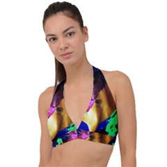 Global Warming 9 Halter Plunge Bikini Top by bestdesignintheworld