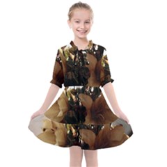 Lilies 1 1 Kids  All Frills Chiffon Dress by bestdesignintheworld