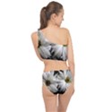 Daisies Spliced Up Two Piece Swimsuit View2