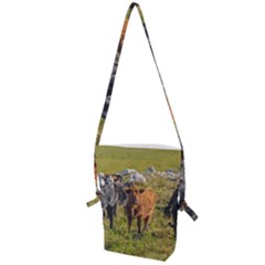Cows At Countryside, Maldonado Department, Uruguay Folding Shoulder Bag by dflcprints