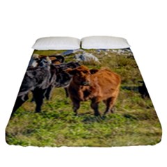 Cows At Countryside, Maldonado Department, Uruguay Fitted Sheet (california King Size) by dflcprints