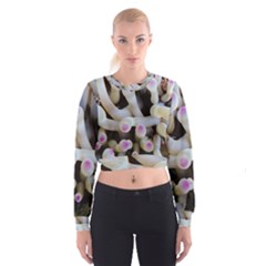 Sea Anemone Cropped Sweatshirt by TheLazyPineapple