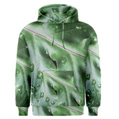 Green Wet Rain Water Drops Plant Men s Core Hoodie