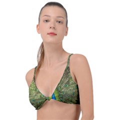 Peacock Feathers Bird Nature Knot Up Bikini Top