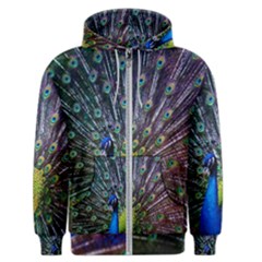 Peacock Colors Bird Colorful Men s Zipper Hoodie by Vaneshart