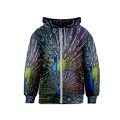 Peacock Colors Bird Colorful Kids  Zipper Hoodie by Vaneshart