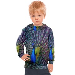 Peacock Colors Bird Colorful Kids  Hooded Pullover by Vaneshart