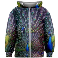 Peacock Colors Bird Colorful Kids  Zipper Hoodie Without Drawstring by Vaneshart