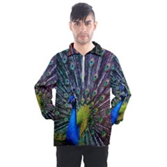 Peacock Colors Bird Colorful Men s Half Zip Pullover by Vaneshart