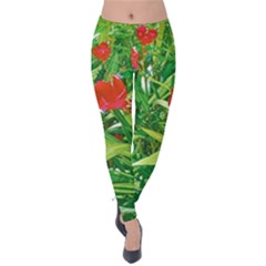 Red Flowers And Green Plants At Outdoor Garden Velvet Leggings by dflcprintsclothing