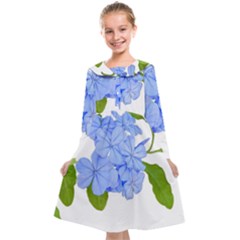 Botanical Floral Print Stylized Photo Kids  Midi Sailor Dress