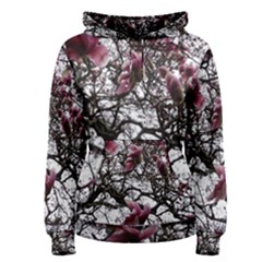 Saucer Magnolia Tree Women s Pullover Hoodie by okhismakingart