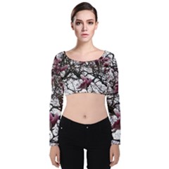 Saucer Magnolia Tree Velvet Long Sleeve Crop Top by okhismakingart