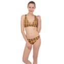 Inka Cultur Animal - Animals And Occult Religion Classic Banded Bikini Set  View1