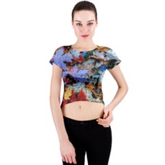 Rainbow Season Crew Neck Crop Top by Sparkle