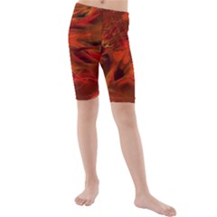 Fire Lion Flame Light Mystical Kids  Mid Length Swim Shorts by HermanTelo