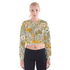 Cosmos Flowers Sepia Color Cropped Sweatshirt by DinkovaArt