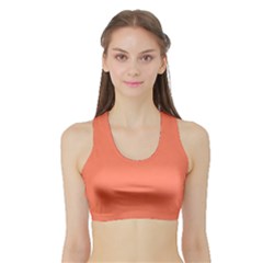 Appreciating Apricot Sports Bra With Border