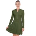 Army Green Solid Color Long Sleeve Panel Dress View1